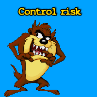 Control risk panel