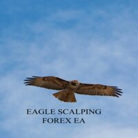 Eagle Scalping