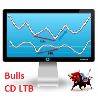 Bulls CD LTB