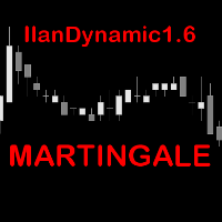 IlanDynamic16