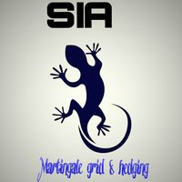 SIA martingale grid and hedging