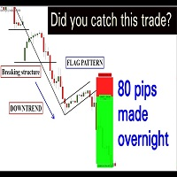 Did You Catch This Trade MT4