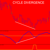 CycleDivergence