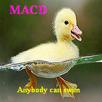 MACD Multi index