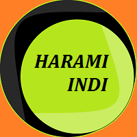 Harami Indi
