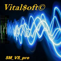 SafeMartin VS pro