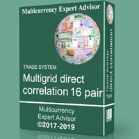 TS Multigrid direct correlation 16 pair