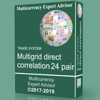 TS Multigrid direct correlation 24 pair