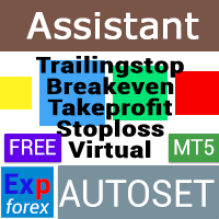 Exp Assistant 5