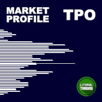 LT Market Profile