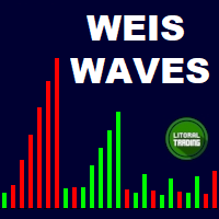 LT Weis Waves