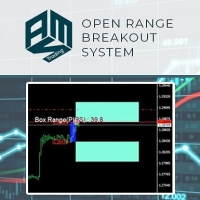 Range Breakout incl Safetynet for MT4
