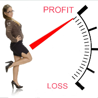 Profit Loss Meter