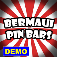 Bermaui Pin Bars Demo