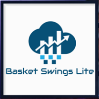 Basket 240 Swings Lite