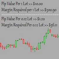 Pip and Margin Value