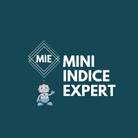 Mini Indice Expert Bovespa b3