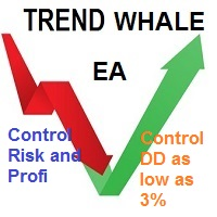 Trend Whale