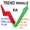 Trend Whale