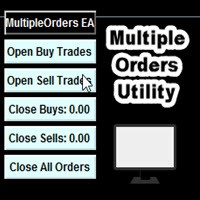 Multiple Orders