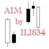 AIM by il1634