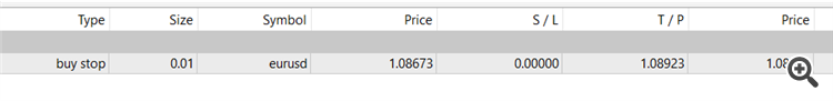 no stop losses