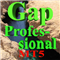 Gap Professional MT5