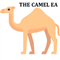 Camel EA