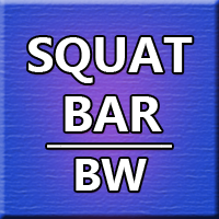 SQUAT Bar BW