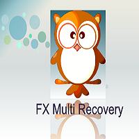 FX Multi Recovery