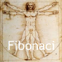 Enter Use Fibonaci