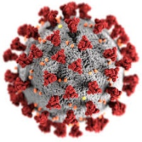 Coronavirus Kobid 20 good