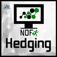 NDFT Hedging