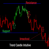 Trend Candle Intuitive