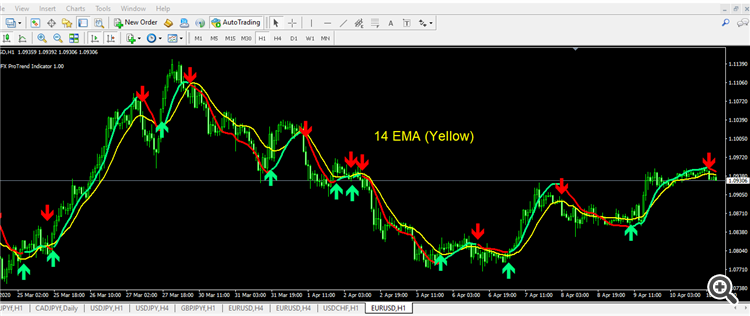 14 SMA in yellow....