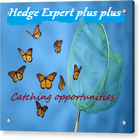 Hedge Expert plus plus