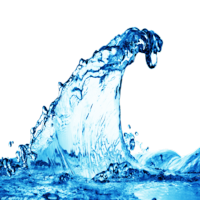 Capitalism On H20