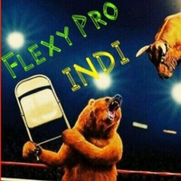 Flexy Pro