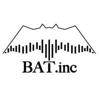 BAT OE Demo MT5