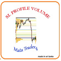 SL Profile volume