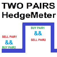 Two Pairs Square Hedge Meter