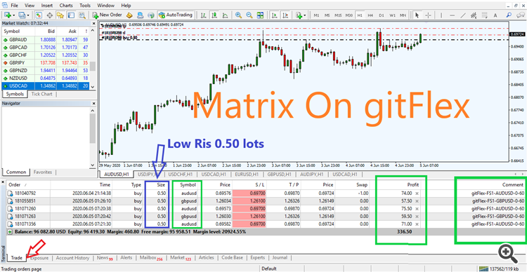 Matrix-on-gitFlex Forex Robot