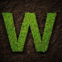 VAWpr
