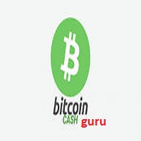 BitcoinCash guru