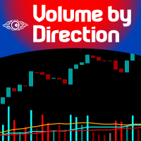 Volume by Direction