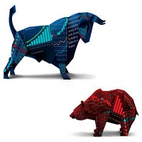 Bull vs Bear Demo