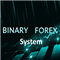 Binary Fx System