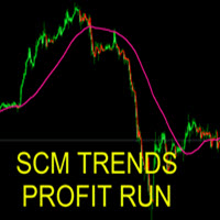 SCM Trends Profit Run