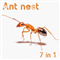 Ant nest 7 in 1