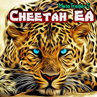 Cheetah EA MT5
